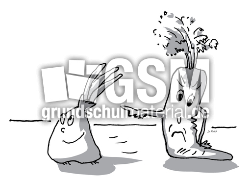 Karotte und Zwiebel 16.jpg